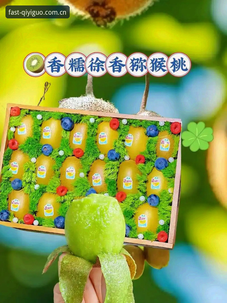 奇异果体育正版入口实用指南：从官网登录到账户找回的必备知识