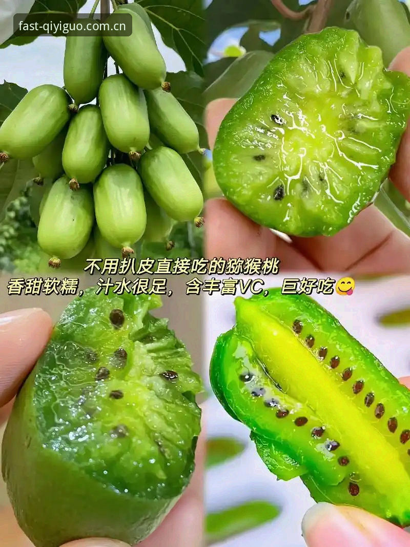 破解奇异果体育入口难题的5个创新方案